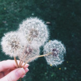 O minimalismo e a vida com um bebê