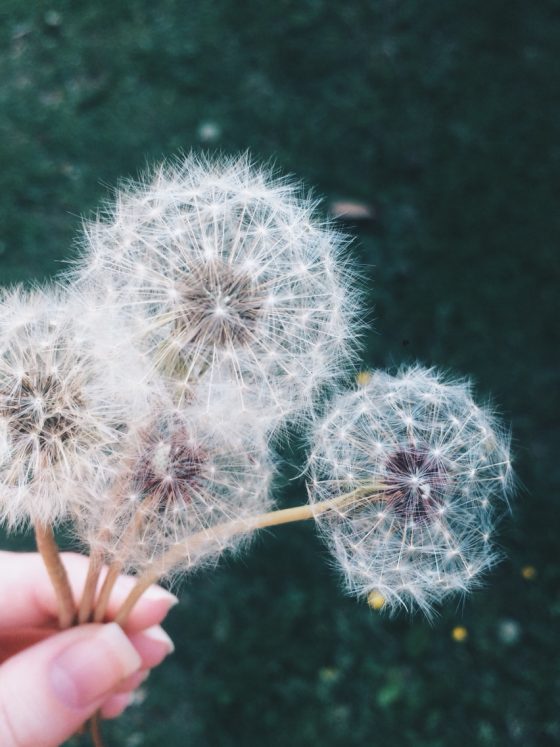 Como fazer uma faxina mental?