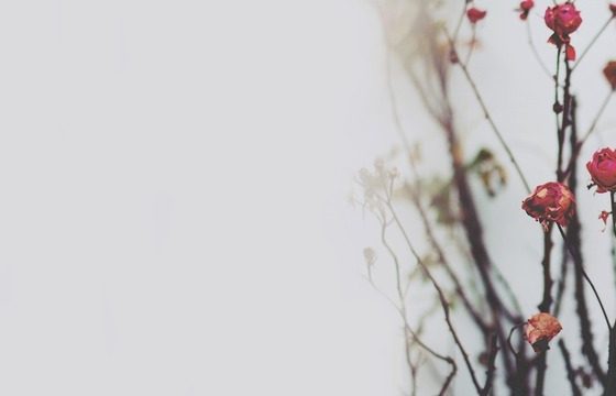 E quando a gente enjoa de tudo que tem no armário?