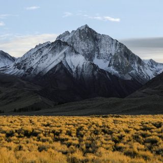 O que as palavras que gostamos falam sobre nós e como elas podem ser um guia