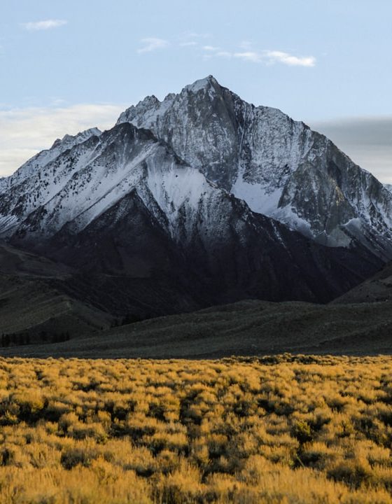 A vida também trabalha com algoritmos e eles se chamam sincronicidade
