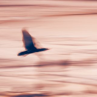 A vida também trabalha com algoritmos e eles se chamam sincronicidade