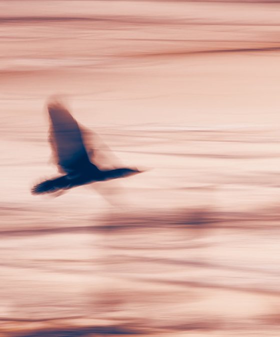 A clareza vem das ações, não dos pensamentos