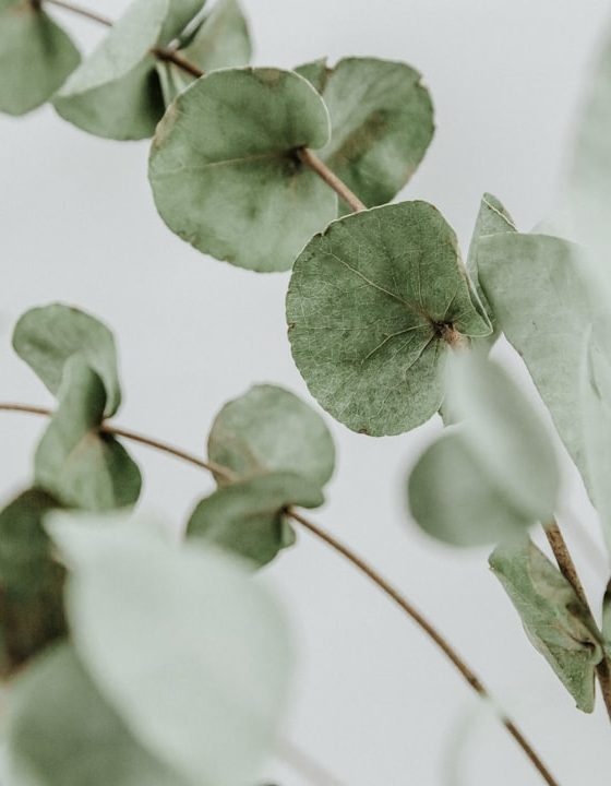 Uma coisa puxa a outra