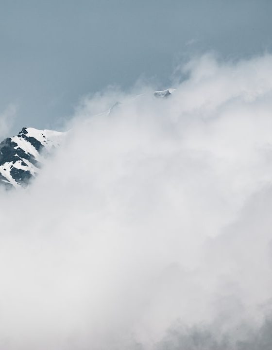 O que as palavras que gostamos falam sobre nós e como elas podem ser um guia