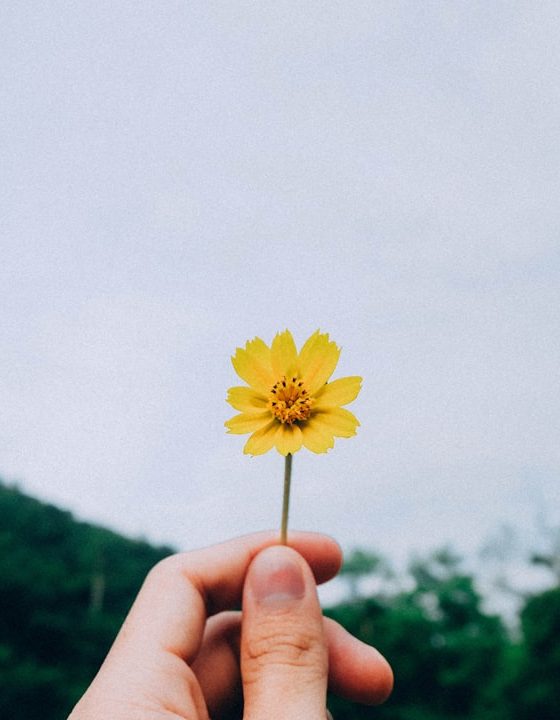 A constante busca por mais. Porque é tão difícil nos sentirmos satisfeitos?