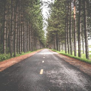 Não foque em buscar felicidade, busque sentido