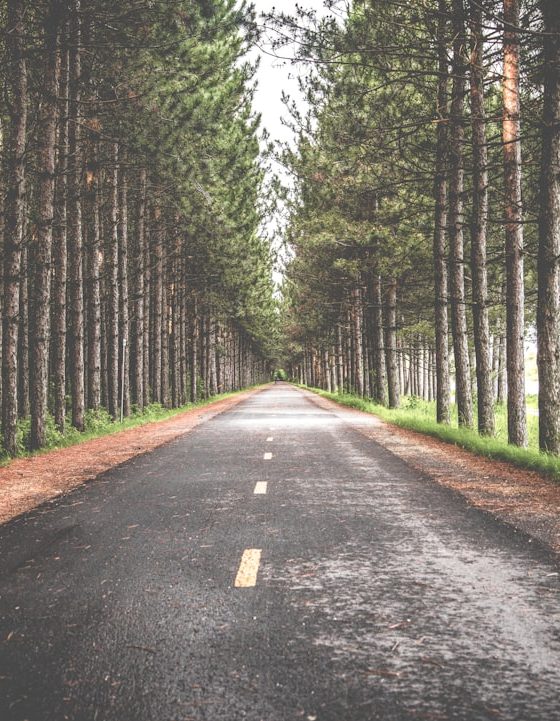 Sobre valores e porque é tão importante refletir sobre eles