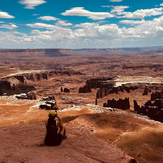 Um passo pra trás nos faz enxergar melhor